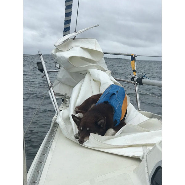 Astral BirdDog PFD