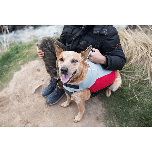 Astral BirdDog PFD