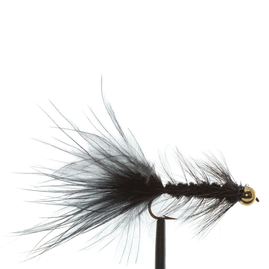 Jackson Hole Fly Company Loaded Foam Fly Box - Snake River Guides' Choice