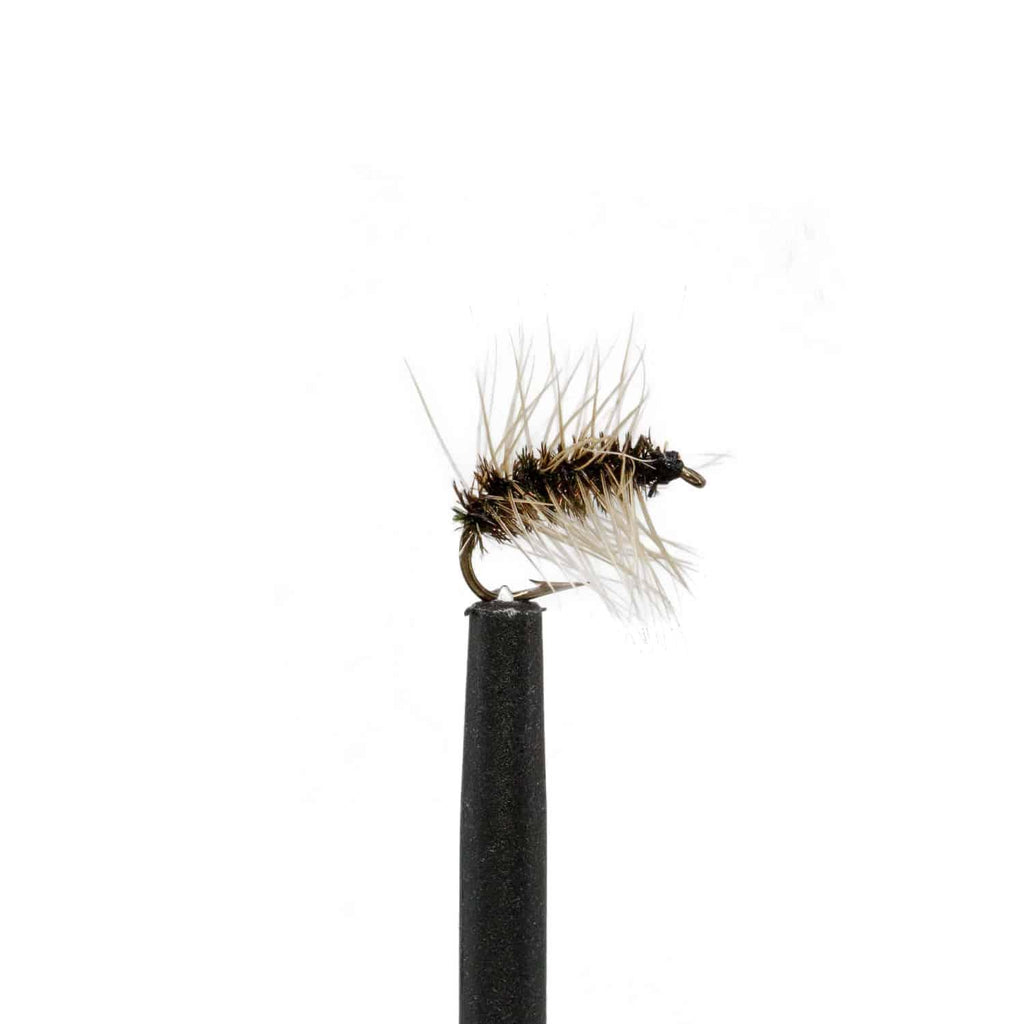 Jackson Hole Fly Company Loaded Foam Fly Box - Snake River Guides' Choice
