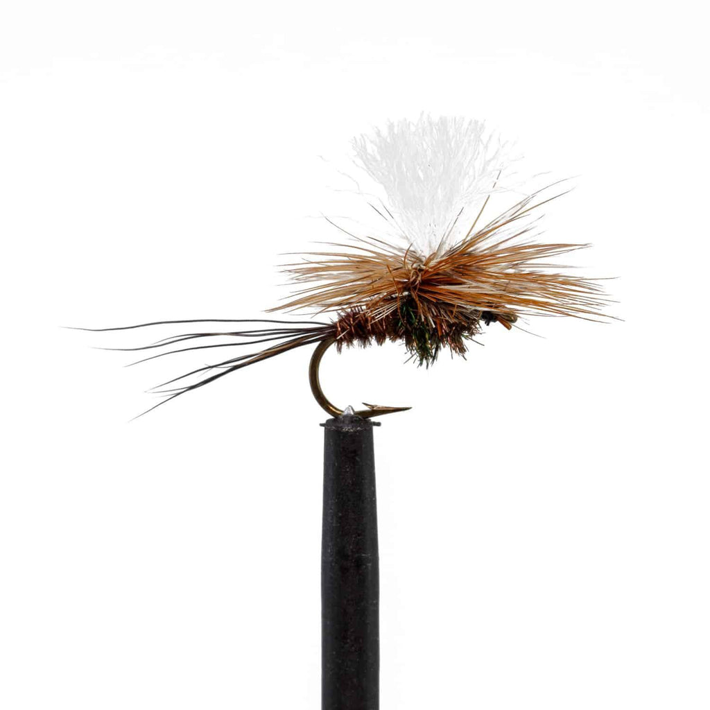 Jackson Hole Fly Company Loaded Foam Fly Box - Snake River Guides' Choice
