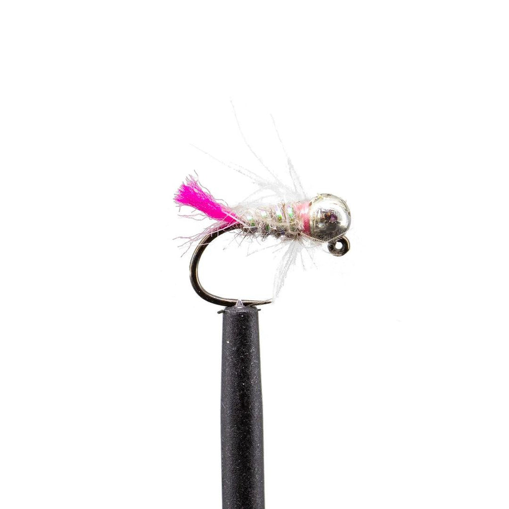 Jackson Hole Fly Company Loaded Foam Fly Box - Euro Jig Nymph