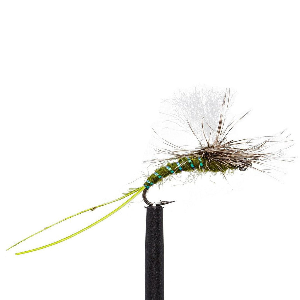 Jackson Hole Fly Company Loaded Foam Fly Box - Standard Dry Fly