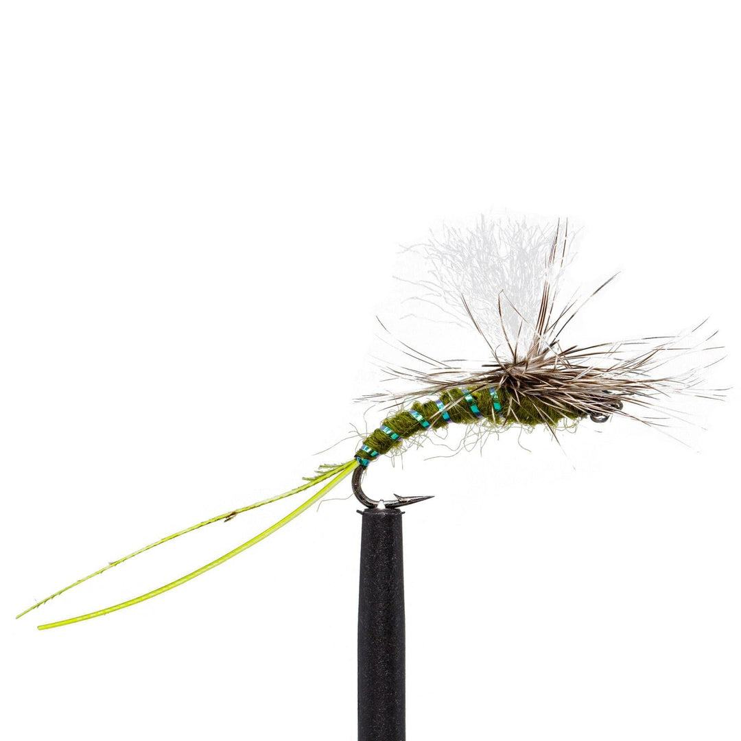 Jackson Hole Fly Company Loaded Foam Fly Box - Standard Dry Fly