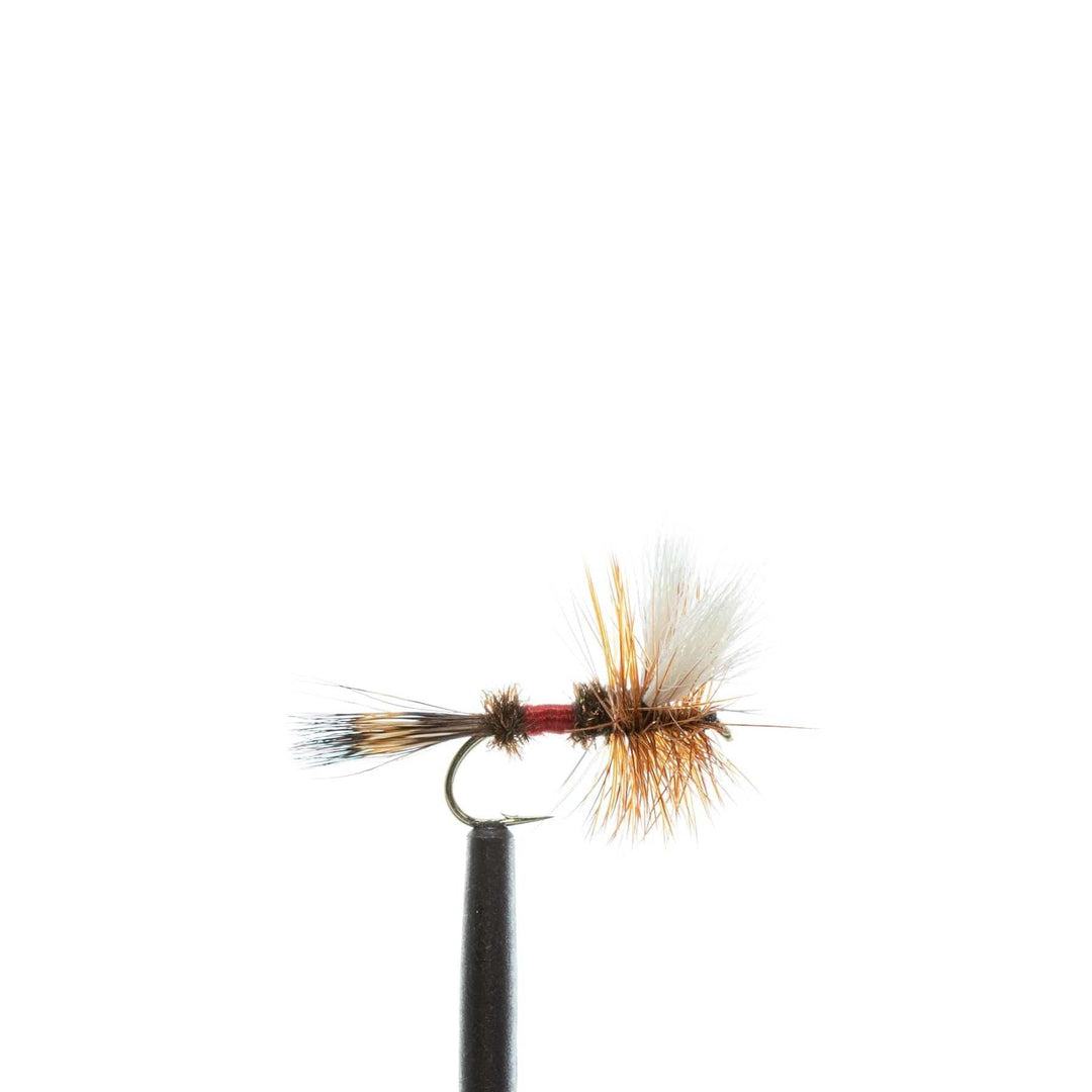 Jackson Hole Fly Company Loaded Foam Fly Box - Standard Dry Fly