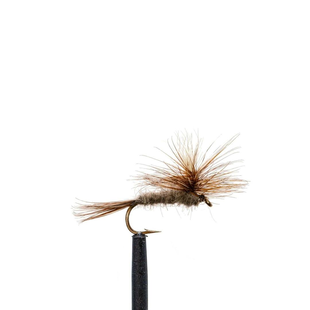 Jackson Hole Fly Company Loaded Foam Fly Box - Standard Dry Fly