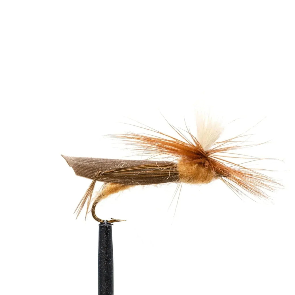 Jackson Hole Fly Company Loaded Foam Fly Box - Standard Dry Fly