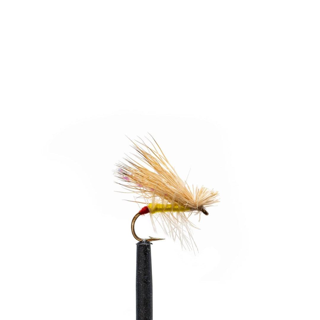 Jackson Hole Fly Company Loaded Foam Fly Box - Standard Dry Fly