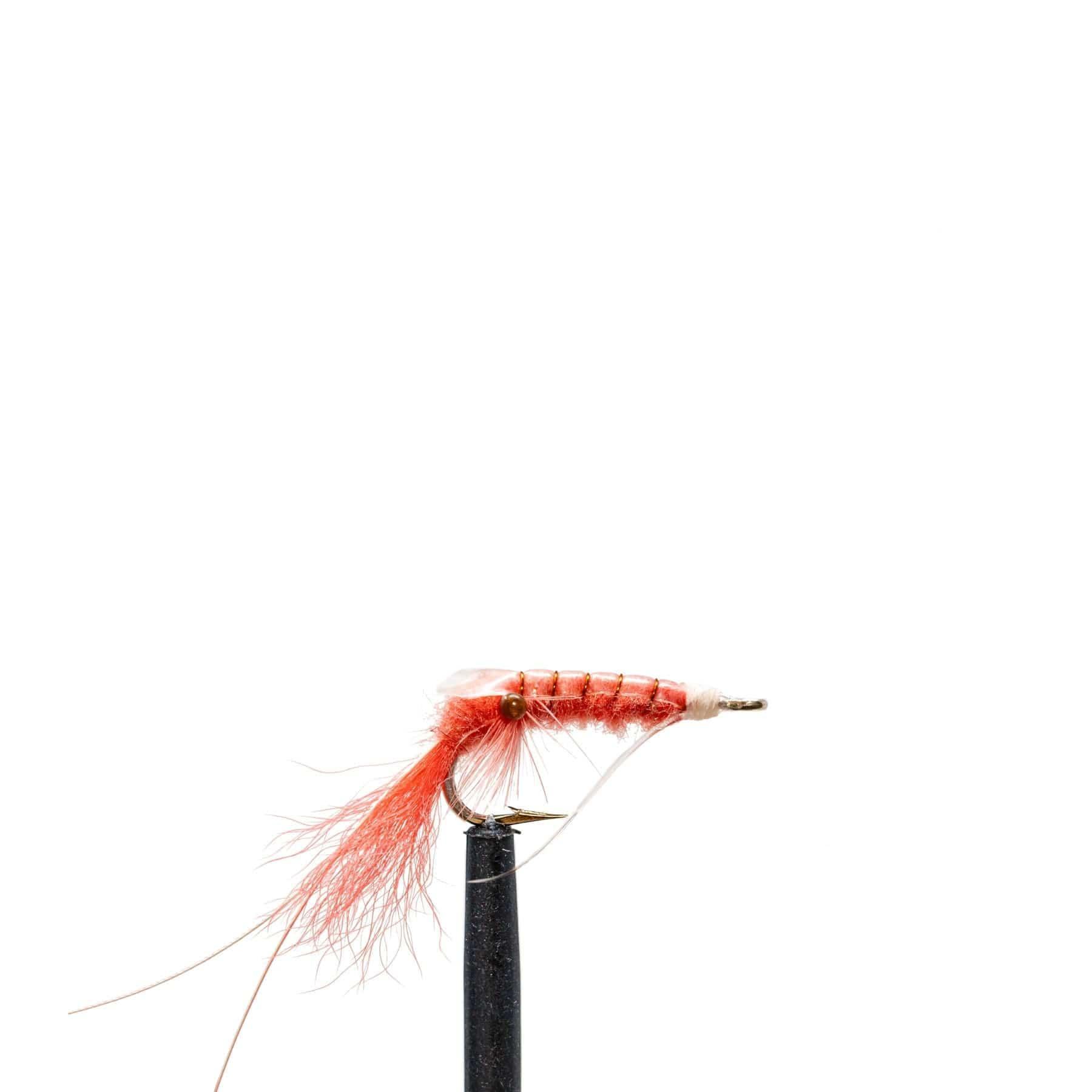 Jackson Hole Fly Company Loaded Foam Fly Box - Snook Fly Box