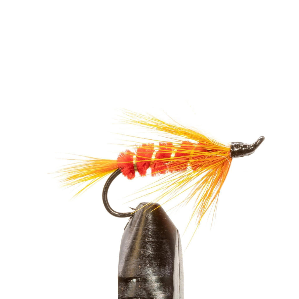 Jackson Hole Fly Company Loaded Foam Fly Box - Salmon